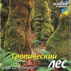 CD "Тропический лес" Би Смарт