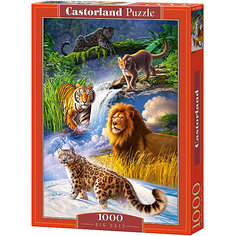 Пазл Castorland "Дикие кошки", 1000 деталей