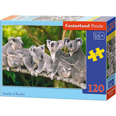 Пазл Castorland "Коалы", 120 деталей