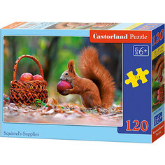 Пазл Castorland "Белочка", 120 деталей