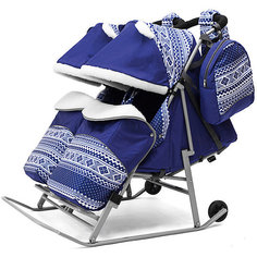 Санки-коляска для двойни ABC Academy 2В Твин Скандинавия на серой раме, синий