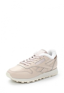 Кроссовки Reebok Classics