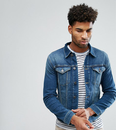 Джинсовая куртка Selected Homme TALL - Синий