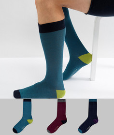 3 пары носков в подарочном наборе Ted Baker - Мульти