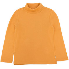 Водолазка для мальчика Sela