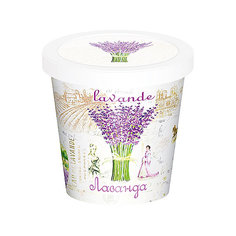 Набор для выращивания "Лаванда" Rostok Visa Бумбарам