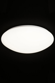 Светильник настенно-потолочный Natali Kovaltseva