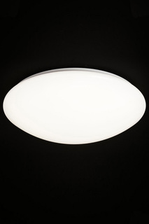 Светильник настенно-потолочный Natali Kovaltseva