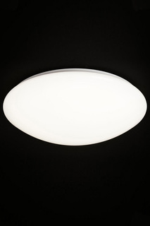 Светильник настенно-потолочный Natali Kovaltseva