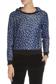Толстовка Just Cavalli