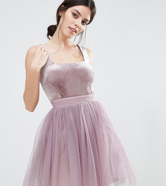 Короткое приталенное платье с юбкой из тюля Little Mistress Petite - Фиолетовый