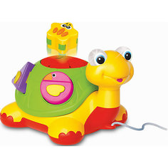 Игровая каталка - сортер "Черепаха", Kiddieland