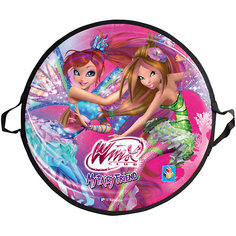 Ледянка 1Toy "Winx" круглая, 52 см