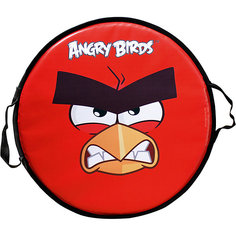 Ледянка 1Toy "Angry Birds" круглая, 52 см