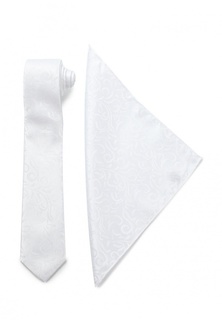 Комплект галстук и платок Carpenter