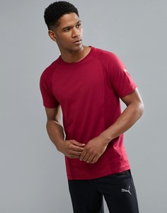 Бордовая футболка Puma Running Evostripe 59262609 - Красный
