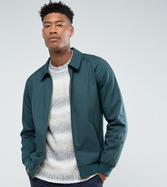 Темно-зеленая хлопковая куртка Харрингтон ASOS TALL - Зеленый