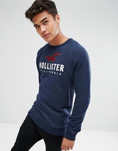 Темно-синий свитшот с круглым вырезом и большим логотипом Hollister - Темно-синий