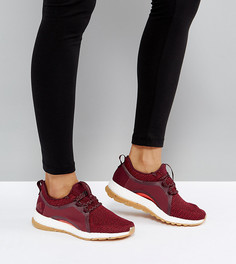 Бордовые кроссовки adidas Training Pureboost X - Мульти