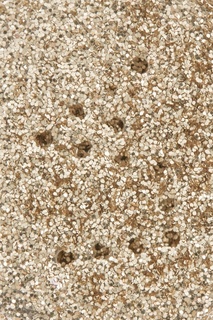 Блестки для макияжа Crystallized Glitter Gold Rush La Splash Cosmetics