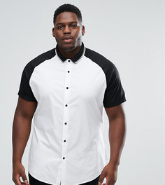 Облегабщая рубашка с рукавами реглан и воротником в рубчик ASOS PLUS - Белый
