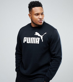 Черный свитшот с круглым вырезом Puma PLUS ESS No.1 83825201 - Черный