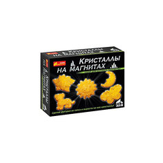 Набор для опытов "Кристаллы на магнитах (желтые)" Ранок