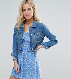 Джинсовая куртка Miss Selfridge Petite - Синий