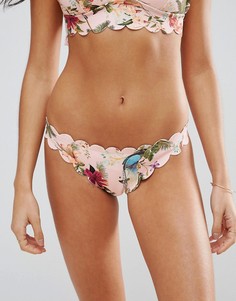 Трусы бикини с заниженной талией и фигурным краем River Island - Мульти