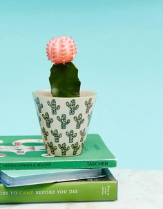 Небольшой горшок для растений с принтом кактуса Sass & Belle - Мульти