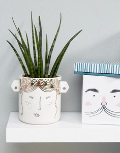 Цветочный горшок House of Disaster - Мульти