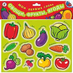 Магнит.Мои первые слова.Овощи, фрукты, ягоды Дрофа Медиа