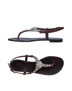 Вьетнамки Giuseppe Zanotti Design