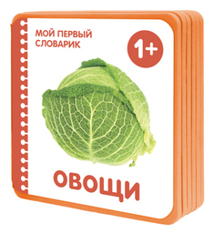 Книга «Мой первый словарик. Овощи» Мозаика Синтез