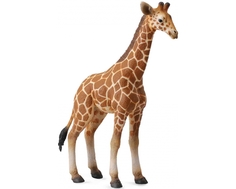 Фигурка Collecta «Детеныш сетчатого жирафа» 13 см