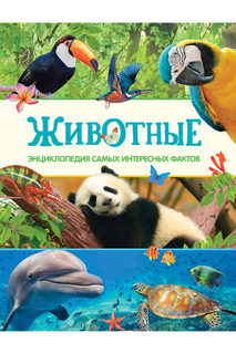 Энциклопедия интересных фактов Росмэн