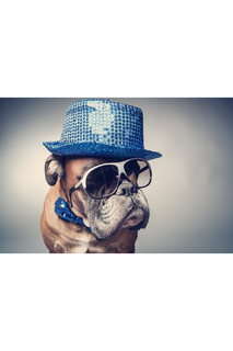 Холст "Собака в шляпе" Ecoramka