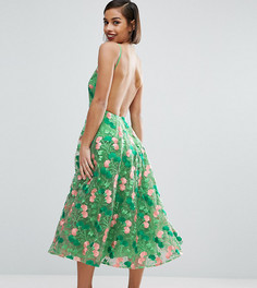 Платье для выпускного миди с открытой спиной и цветочной вышивкой ASOS PETITE SALON - Зеленый