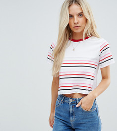 Кроп-топ с полосками эксклюзивно для ASOS PETITE - Мульти