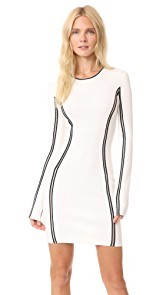 Dion Lee Long Sleeve Mini Dress