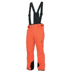 Мужские Горнолыжные Брюки 17-22516 Stormlock Stayer