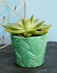 Горшок для растений с тисненым узором в виде листьев Sass & Belle - Мульти