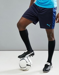 Темно-синие спортивные шорты Puma Football evoTRG 65534850 - Темно-синий