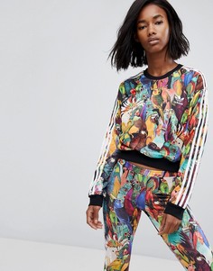 Укороченный свитшот adidas Originals X Farm Passaredo - Мульти