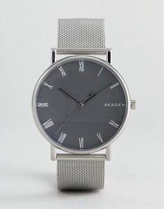 Часы с серебристым сетчатым браслетом Skagen SKW6428 - Серебряный