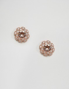 Серьги-гвоздики в виде цветов с кристаллами Ted Baker Seraa - Золотой