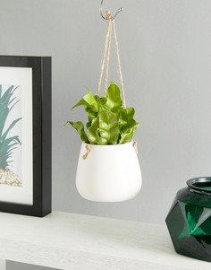 Белый керамический подвесной горшок для цветов Sass &amp; Belle - Мульти