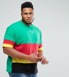 Футболка оверсайз в стиле колор блок с принтом Nothing Less ASOS PLUS - Мульти