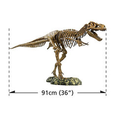 Набор скелет динозавра 91см, Edu-Toys