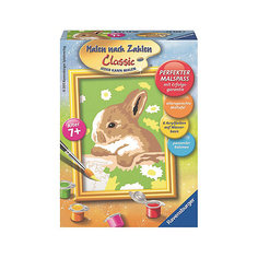 Раскрашивание по номерам  «Кролик в ромашках» Размер картинки Ravensburger